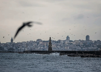 Marmara Denizi’nde balık türü azaldı