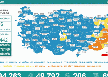 Türkiye’de son 24 saatte 49 bin 792 kişinin testi pozitif çıktı, 206 kişi yaşamını yitirdi