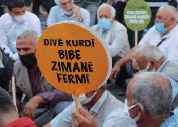 “Anadilde seçmeli ders değil, eğitim verilmeli”