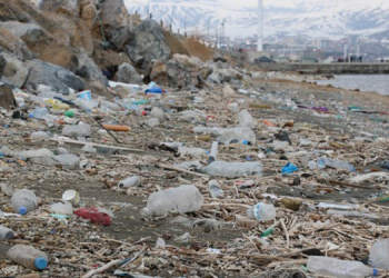 BM: Çevre kirliliği, Kovid-19’dan daha fazla can kaybına yol açıyor