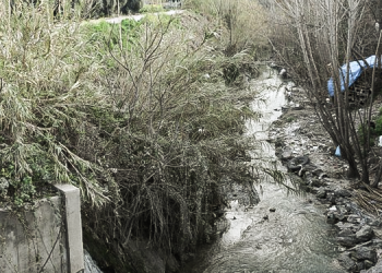 Kimyasal atıklar tehlike saçıyor: İnceleme yapılsın, kanal kapatılsın