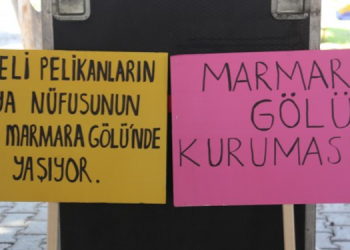 Türkiye’nin ilk iklim davası açıldı