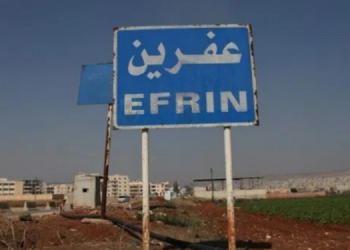 Uluslararası kuruluşlara çağrı: Efrînli kadınların yaşadıklarını görün
