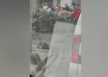 İstanbul Bağcılar’da bedava ekmek izdihamı