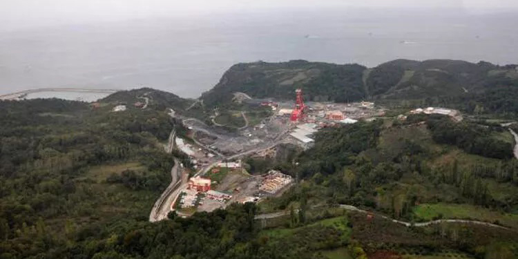 Bartın’da ÇED kararına iptal davası Bartın’da ÇED kararına iptal davası