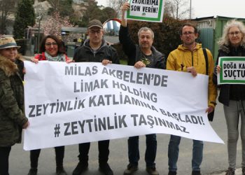 Ekolojistler: Zeytinliklerden kara ellerinizi çekin