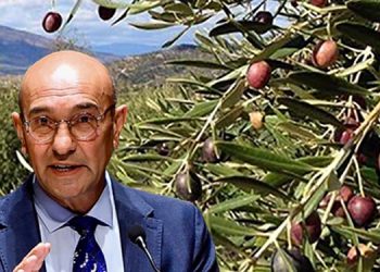 Tunç Soyer, zeytin yönetmeliğini yargıya taşıdı