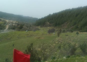 İkizköy’de zeytin sökümü başladı