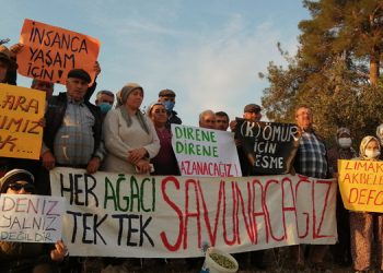 Zeytin Şenliği’nde, termik santral işletmecisi YK Enerji’yi protesto eden yaşam savunucusu hakkında takipsizlik kararı