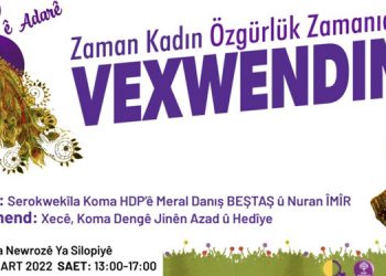 Silopi’de 8 Mart mitingine izin çıktı