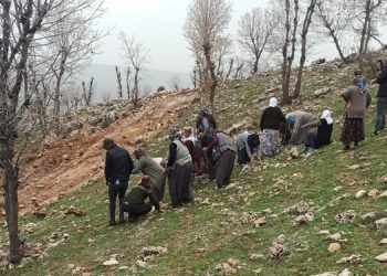 Adıyaman’da kadınların direnişi iş makinelerini durdurdu