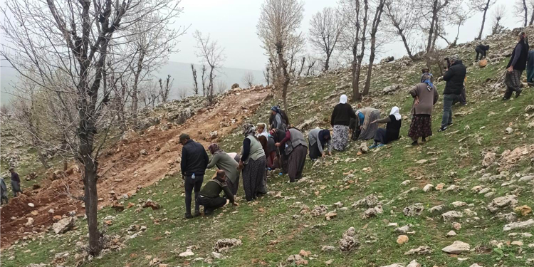 Adıyaman’da kadınların direnişi iş makinelerini durdurdu Adıyaman’da kadınların direnişi iş makinelerini durdurdu