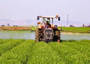 “Beli bükülen çiftçi İş-Kur kuyruğuna girecek!”
