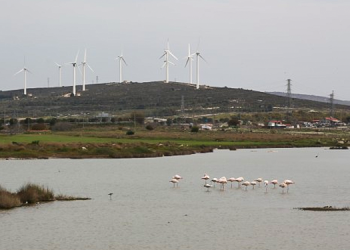 Çeşmeliler: Ekosistem yok olacak