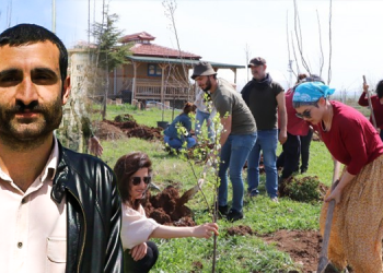 Ekoloji Hareketi “fidan dikme” kampanyasını süreklileştirecek