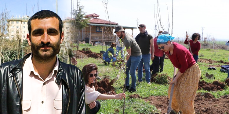 Ekoloji Hareketi “fidan dikme” kampanyasını süreklileştirecek Ekoloji Hareketi “fidan dikme” kampanyasını süreklileştirecek