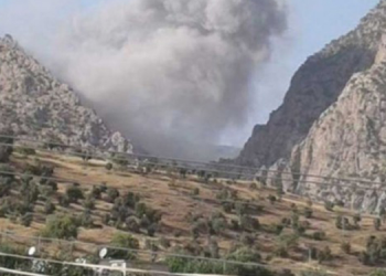 Ferda Çetin: ABD Kürtlere saldırılara izin veriyor