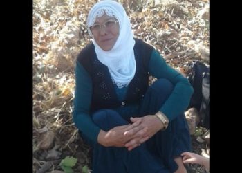 Barış annesi İne Akgün yaşamını yitirdi