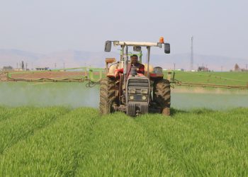 Beli bükülen çiftçi İş-Kur kuyruğuna girecek