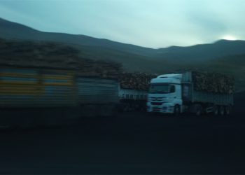 Besta bölgesinde köylülere “ağaçları kesin” baskısı