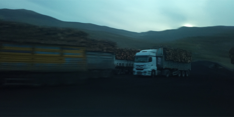 Besta bölgesinde köylülere “ağaçları kesin” baskısı Besta bölgesinde köylülere “ağaçları kesin” baskısı