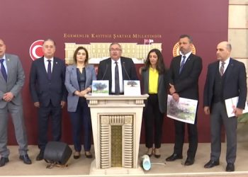 CHP’li milletvekillerinden zeytin tepkisi: Danıştay, Bakanlık savunması beklerken zeytinliklerin yağmalanmasına başlandı