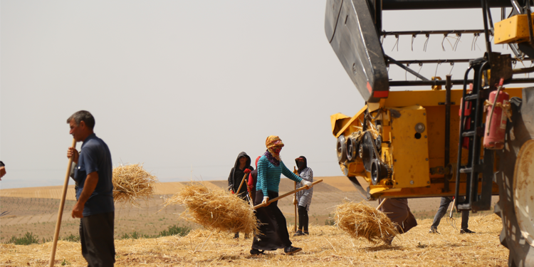 CHP’li Gürer: Böyle giderse ileride sömürge ülke durumuna düşeriz CHP’li Gürer: Böyle giderse ileride sömürge ülke durumuna düşeriz