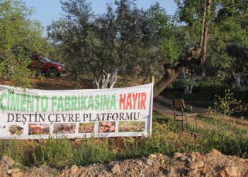 Deştin raporu: Çimento fabrikası doğaya ve insan sağlığına zararlı