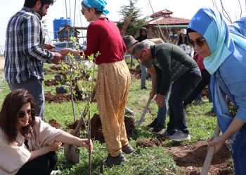 Doğa tahribatına karşı fidan dikme kampanyası