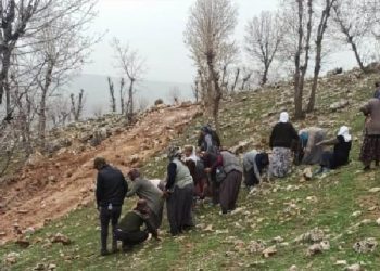 70 yaşında bastonuyla direnişte: Doğamız için direneceğiz