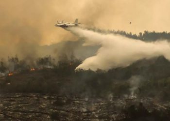 Dörtyol’daki orman yangını kontrol altına alındı