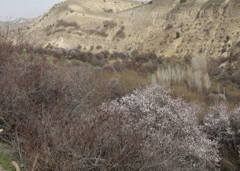 DSİ projesine tepki: Gölet istemiyoruz