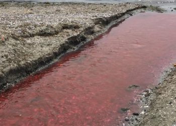Fabrika atıklarının bırakıldığı derenin rengi kırmızıya döndü