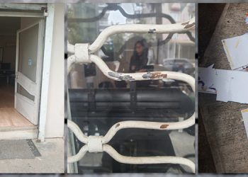 HDP Çukurova İlçe binasına saldırı