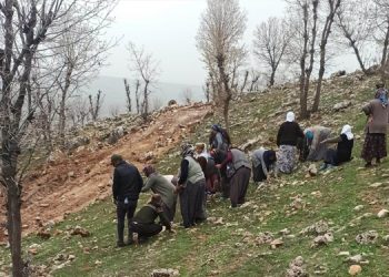 Adıyaman’da kadınların direnişi iş makinelerini durdurdu
