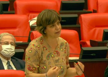 Leyla Güven’in cezaevine alınmayan elbisesini Meclis’te giydi