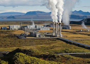 Türkiye’nin her yerinde 55 bin 706 hektar ihale edilecek