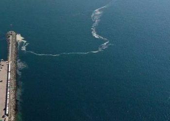 Marmara Denizi için oksijen azlığı uyarısı: Bu bile alarm zilinin çalmasına yetmeli