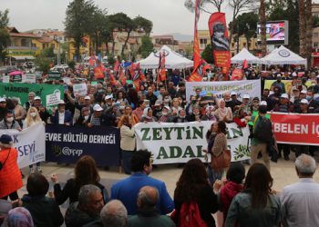 Milas’ta ”Zeytin hayattır, dokunma” mitingi