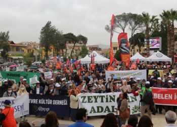 Milas’ta ‘Zeytin hayattır, dokunma’ mitingi