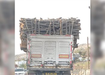 Sınır ötesine sürülen korucuların doğa talanı devam ediyor