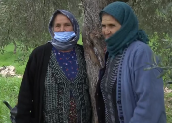 Enerji ve Tabii Kaynaklar Bakanlığı, zeytinlikleri madenciliğe açan yönetmeliği savundu