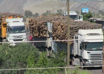 Bölgede doğa talanı sürüyor