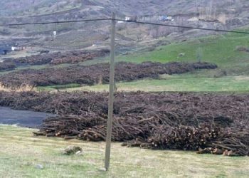 Doğa talanına tepki: Yağma ve saldırılara sessiz kalmayın