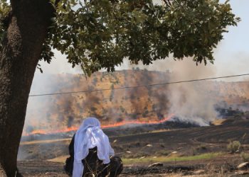 Ekolojist Güner Yanlıç: Doğadaki yıkımın amacı insansızlaştırmadır