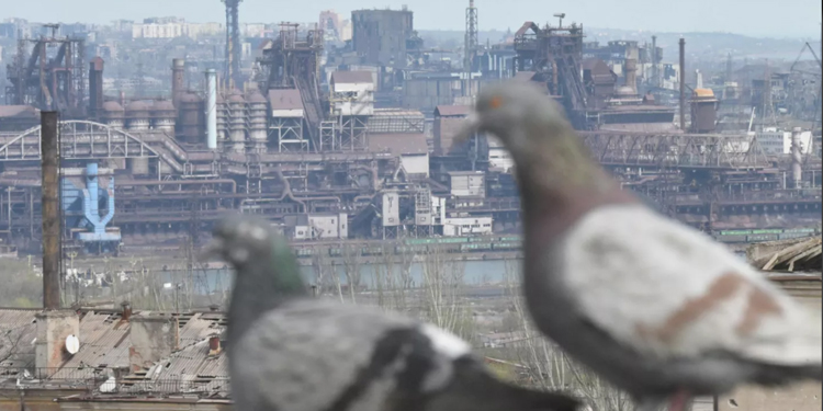 Rus Dışişleri: Azovstal’de teslim olan Ukraynalı esirlerin takası masaya gelebilir Rus Dışişleri: Azovstal’de teslim olan Ukraynalı esirlerin takası masaya gelebilir