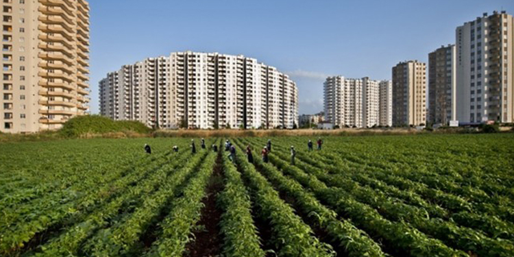 Tarım ve mera arazileri bir bir imara açılıyor Tarım ve mera arazileri bir bir imara açılıyor