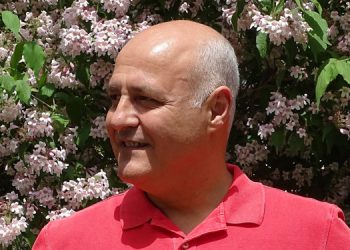 Orman yangınları: sadece bireyler değil, ormanlardaki tesislerin de önlem alması gerekir