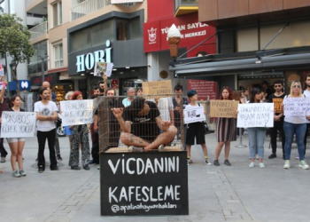 İzmir’de sokak hayvanları için açıklama