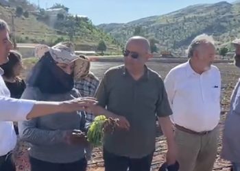 Adıyamanlı tütün üreticisi: Amerikan şirketlerine peşkeş çekiliyor çiftçi